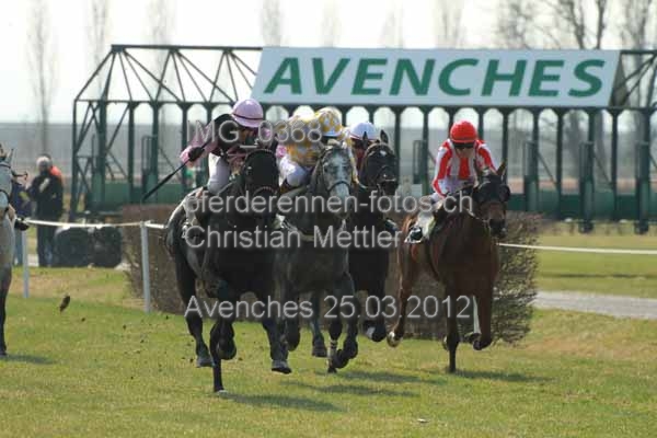 IMG 0368 prot