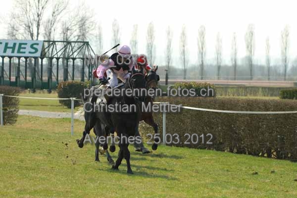 IMG 0373 prot