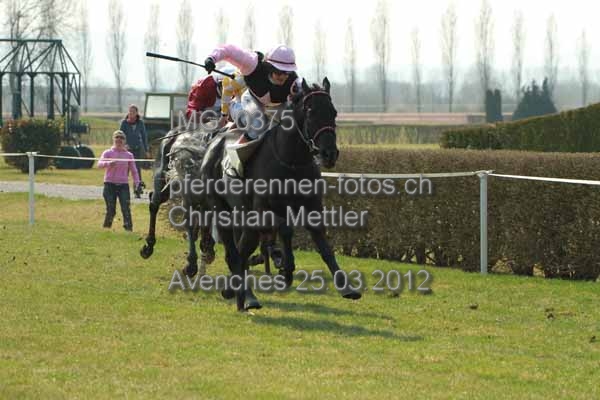 IMG 0375 prot