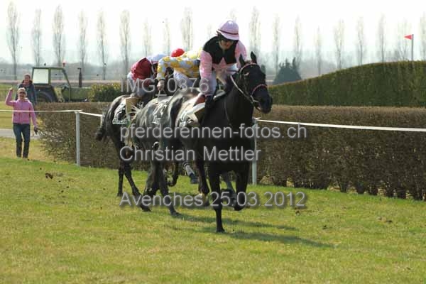 IMG 0376 prot