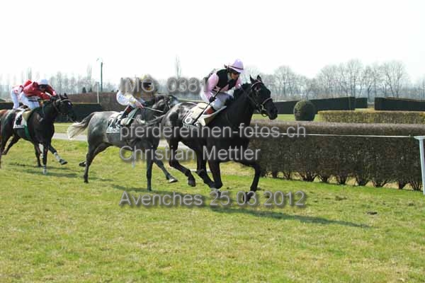IMG 0381 prot