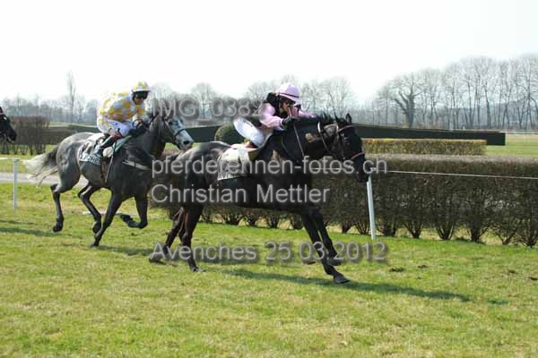 IMG 0382 prot