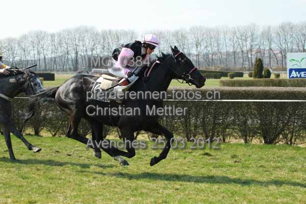 IMG 0384 prot