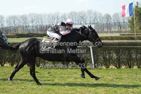 IMG 0385 prot