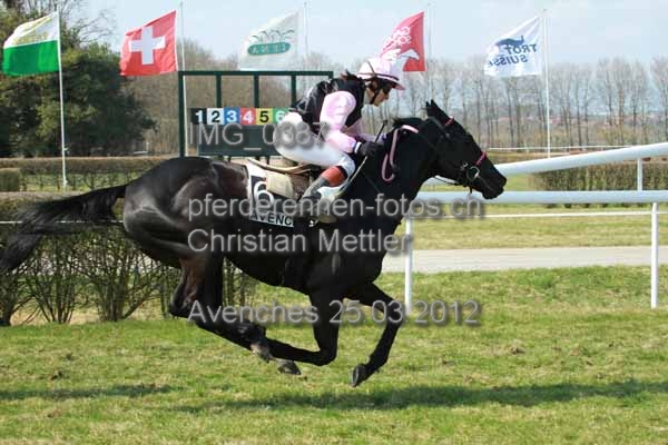 IMG 0387 prot