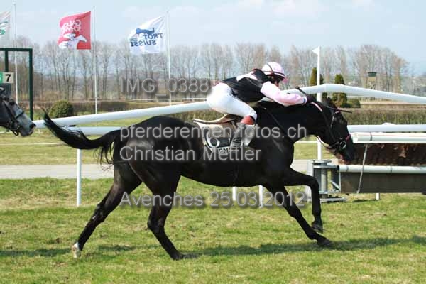 IMG 0388 prot