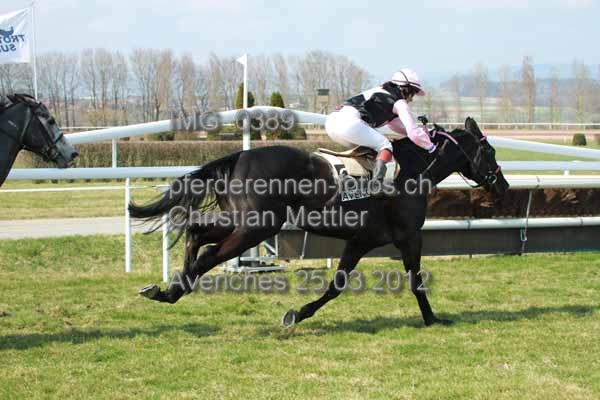 IMG 0389 prot