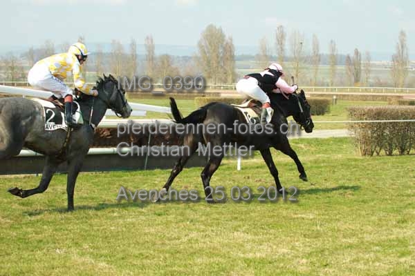 IMG 0390 prot