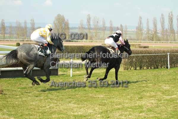 IMG 0391 prot