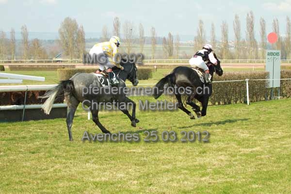 IMG 0392 prot