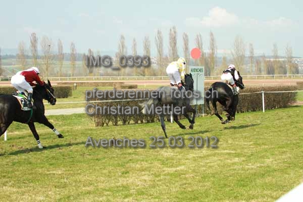IMG 0393 prot