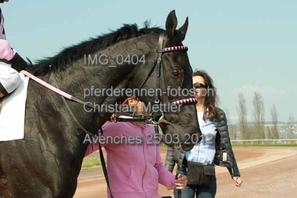 IMG 0404 prot