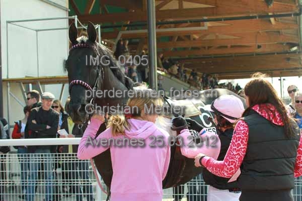 IMG 0405 prot
