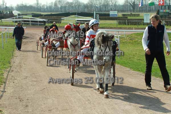 IMG 0419 prot