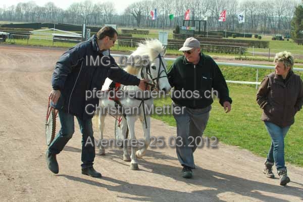 IMG 0425 prot