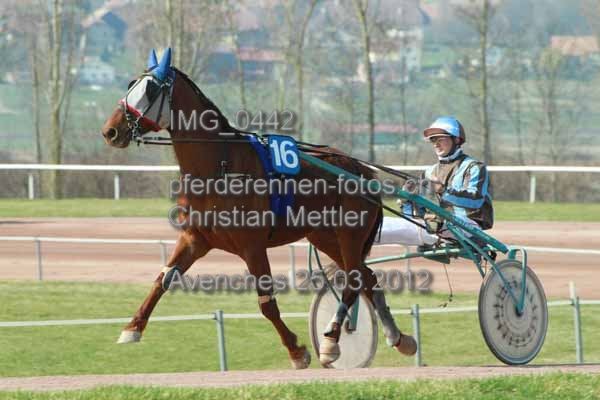 IMG 0442 prot