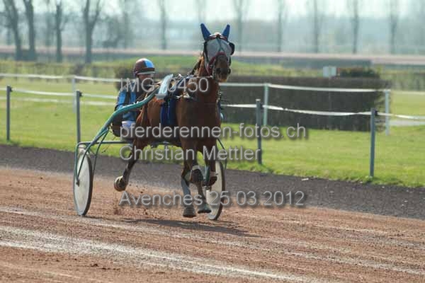 IMG 0450 prot