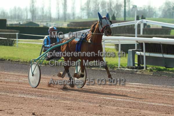 IMG 0453 prot