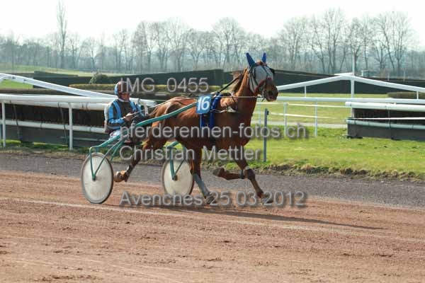 IMG 0455 prot