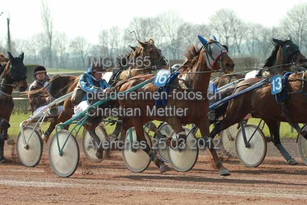 IMG 0465 prot