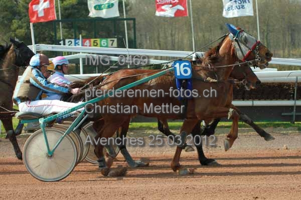 IMG 0469 prot