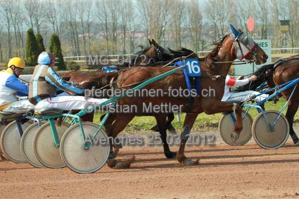 IMG 0472 prot