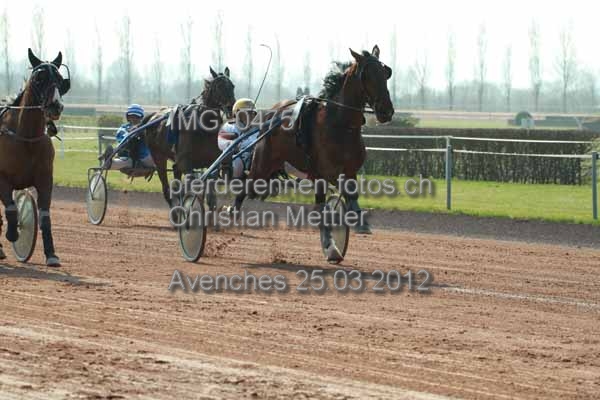 IMG 0475 prot