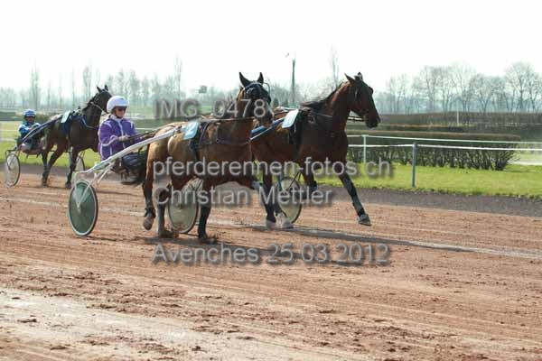 IMG 0478 prot