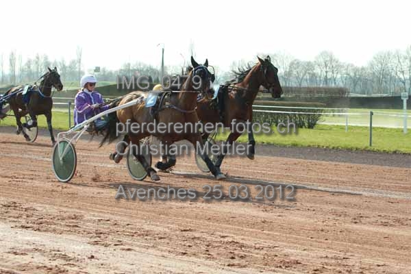 IMG 0479 prot