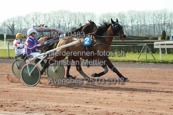 IMG 0483 prot