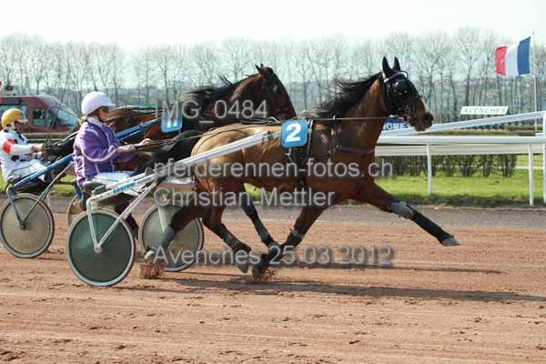IMG 0484 prot