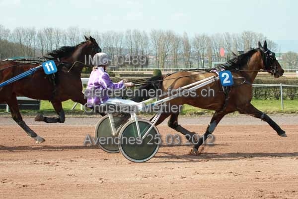 IMG 0489 prot