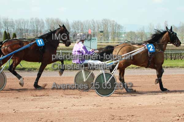 IMG 0490 prot