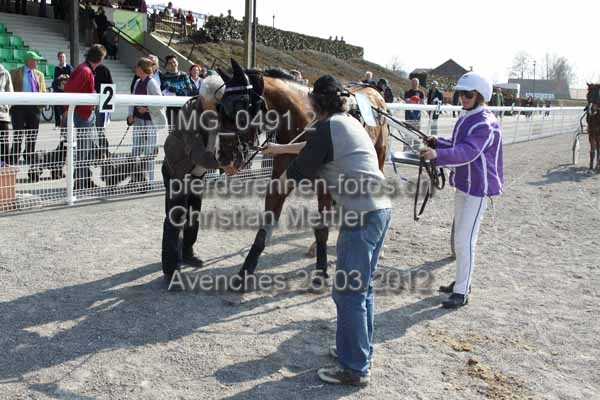 IMG 0491.2 prot
