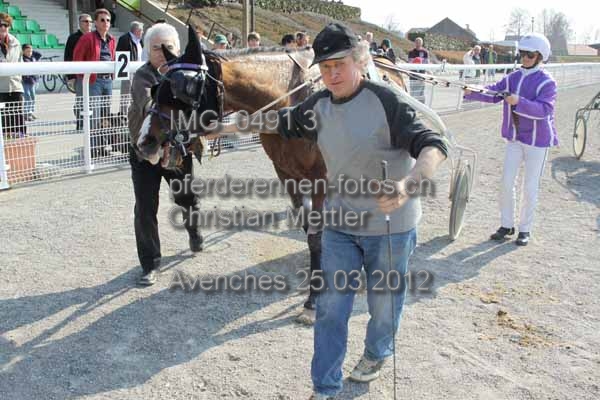 IMG 0491.3 prot