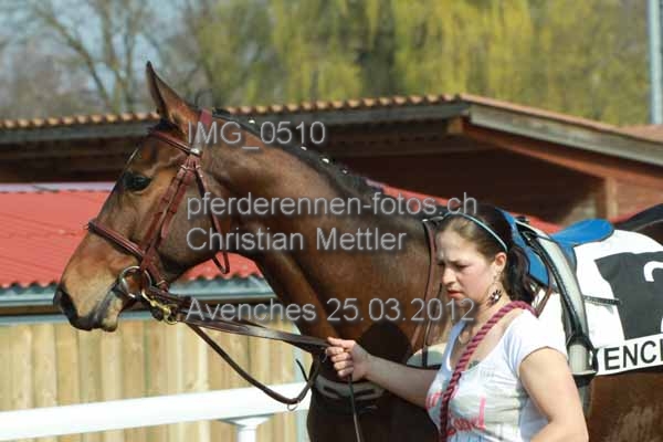 IMG 0510 prot