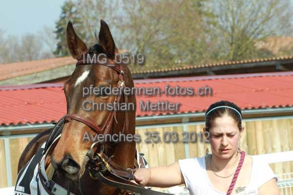 IMG 0519 prot