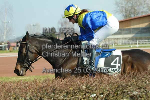 IMG 0568 prot