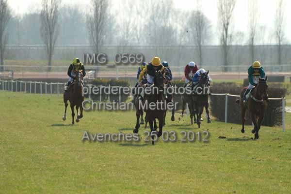 IMG 0569 prot