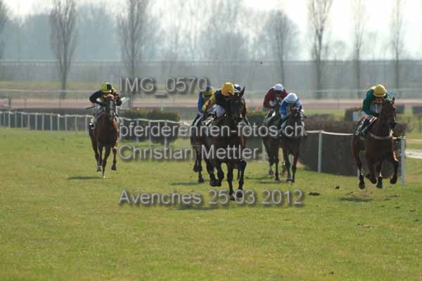 IMG 0570 prot