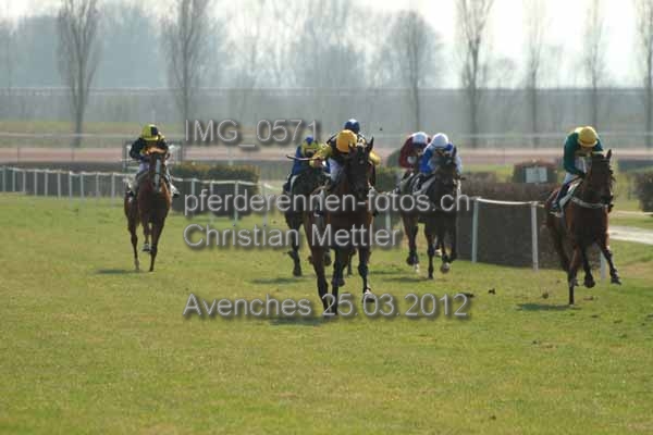 IMG 0571 prot