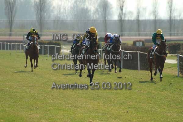 IMG 0572 prot