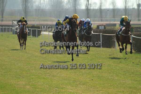 IMG 0574 prot