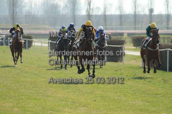 IMG 0576 prot