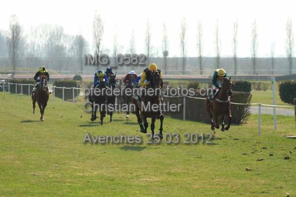 IMG 0582 prot