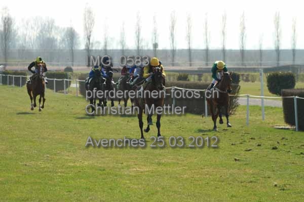IMG 0583 prot