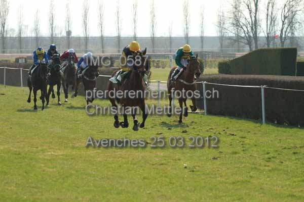 IMG 0587 prot