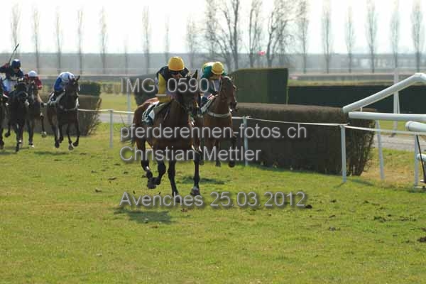 IMG 0590 prot