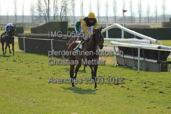IMG 0595 prot