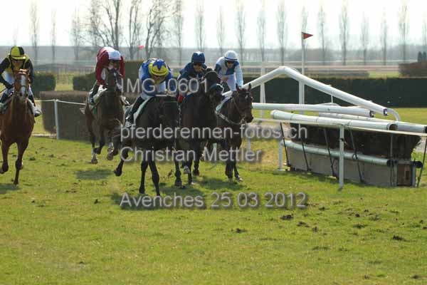 IMG 0601 prot
